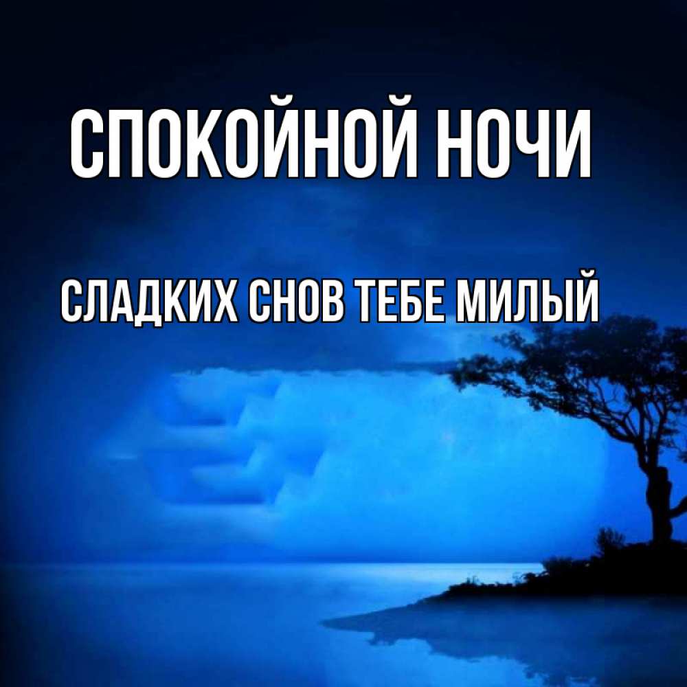 Картинка Спокойной ночи,  сладких снов тебе милый