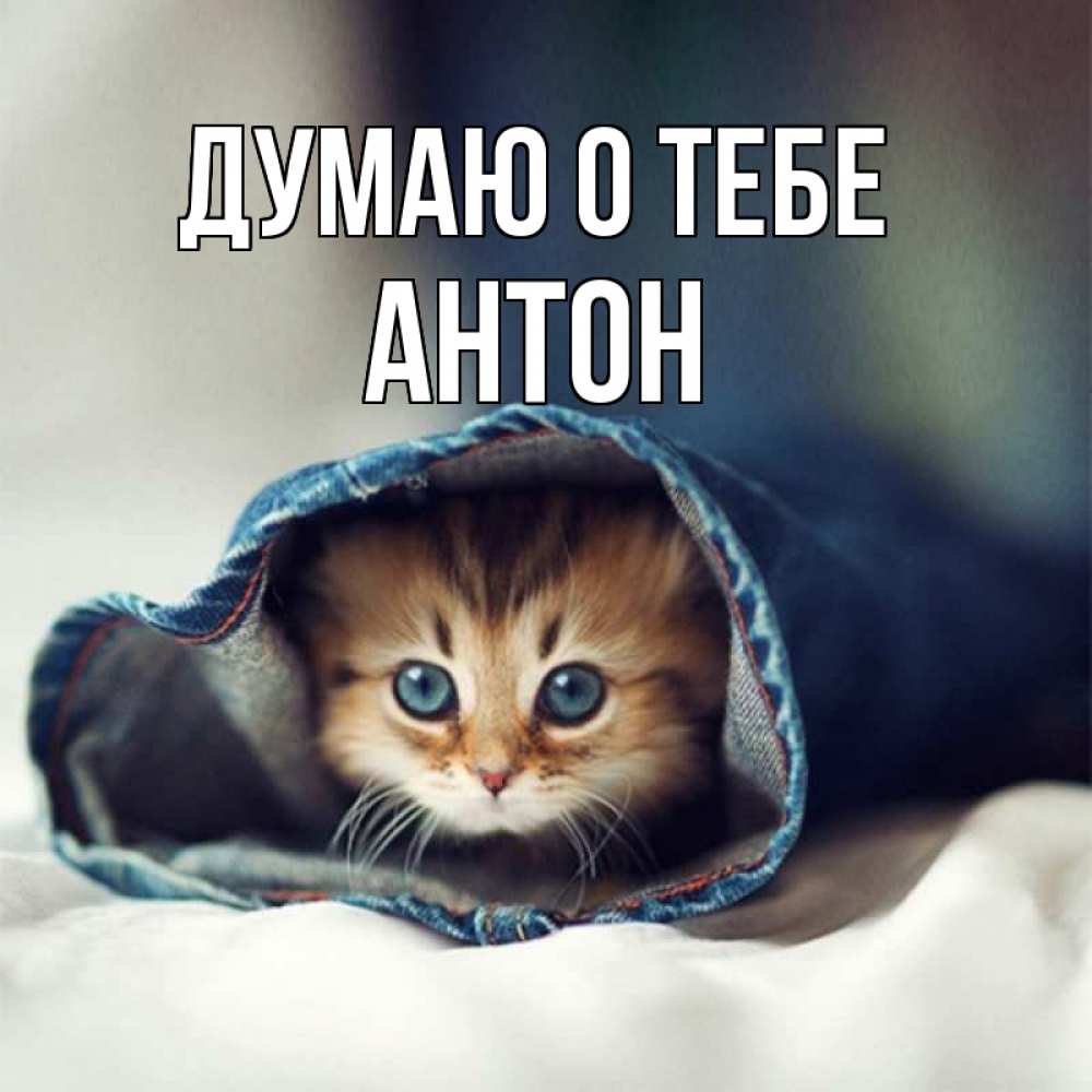 Открытка на каждый день с именем, Антон Думаю о тебе мне без тебя плохо Прикольная открытка с пожеланием онлайн скачать бесплатно 