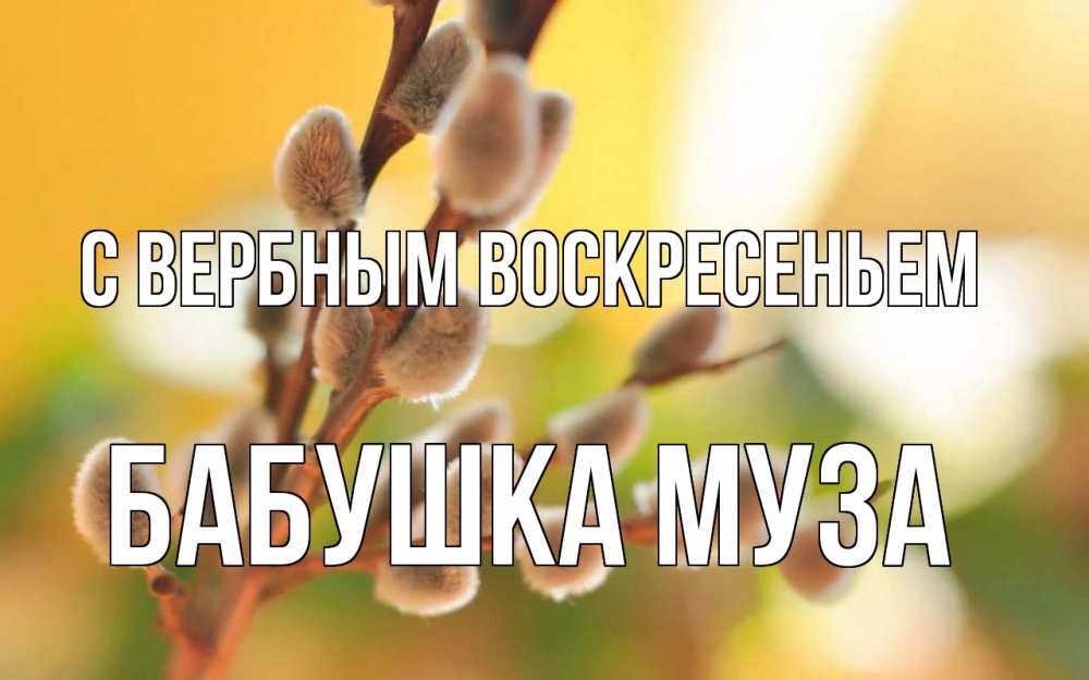 Открытка на каждый день с именем, Бабушка-Муза С вербным воскресеньем верба Прикольная открытка с пожеланием онлайн скачать бесплатно 