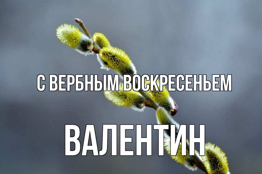 Открытка на каждый день с именем, Валентин С вербным воскресеньем верба Прикольная открытка с пожеланием онлайн скачать бесплатно 
