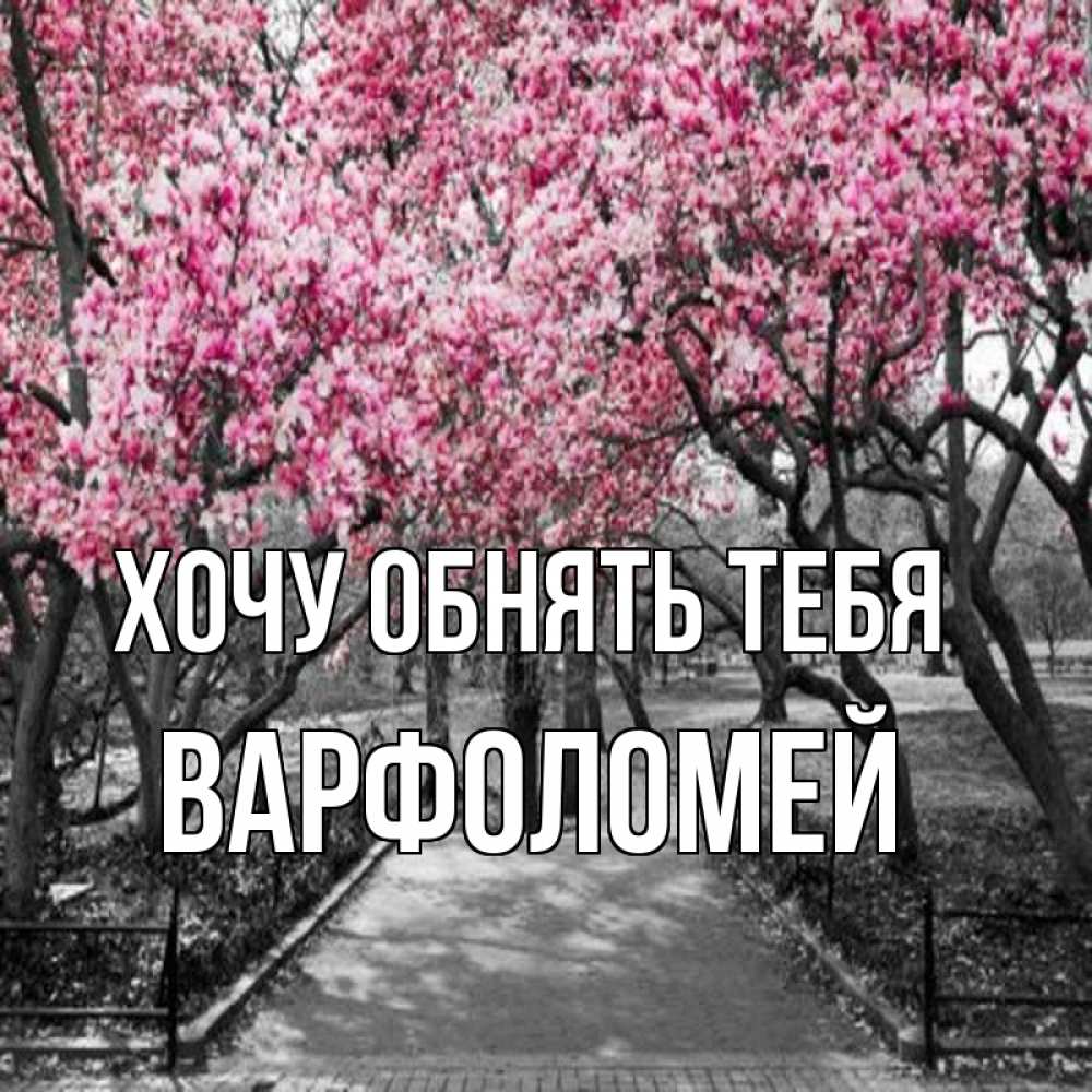 Открытка на каждый день с именем, Варфоломей Хочу обнять тебя обработанное фото Прикольная открытка с пожеланием онлайн скачать бесплатно 