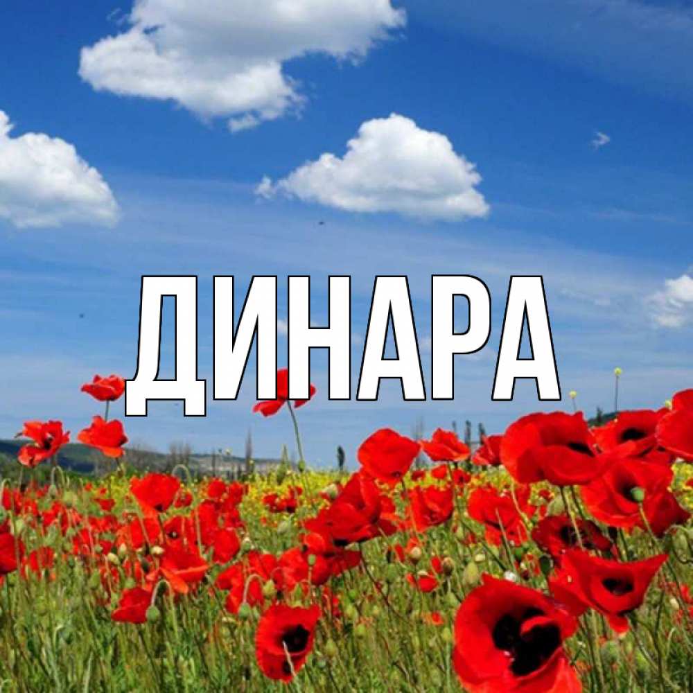Открытка на каждый день с именем, Динара Главная праздник весны наурыз очень красивая картинка Прикольная открытка с пожеланием онлайн скачать бесплатно 