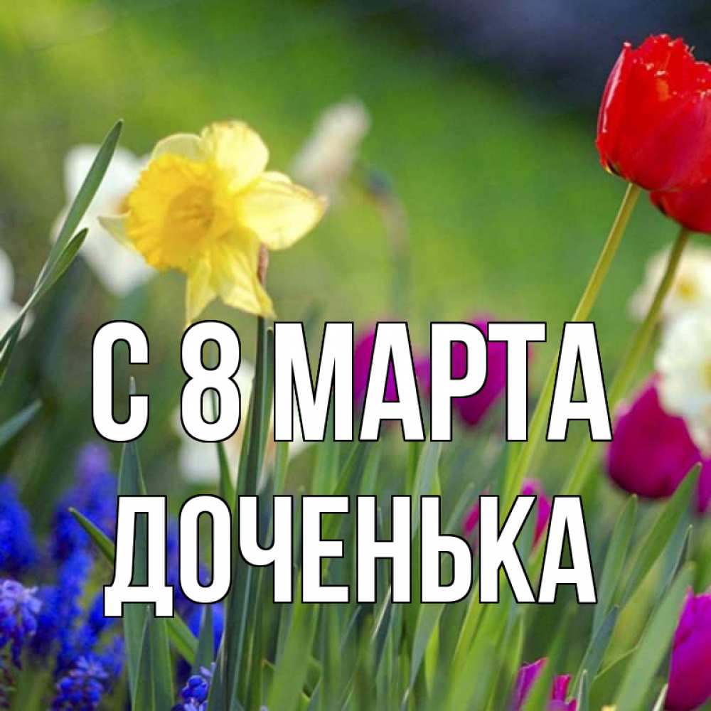 Открытка на каждый день с именем, Доченька С 8 марта международный женский день 3 Прикольная открытка с пожеланием онлайн скачать бесплатно 