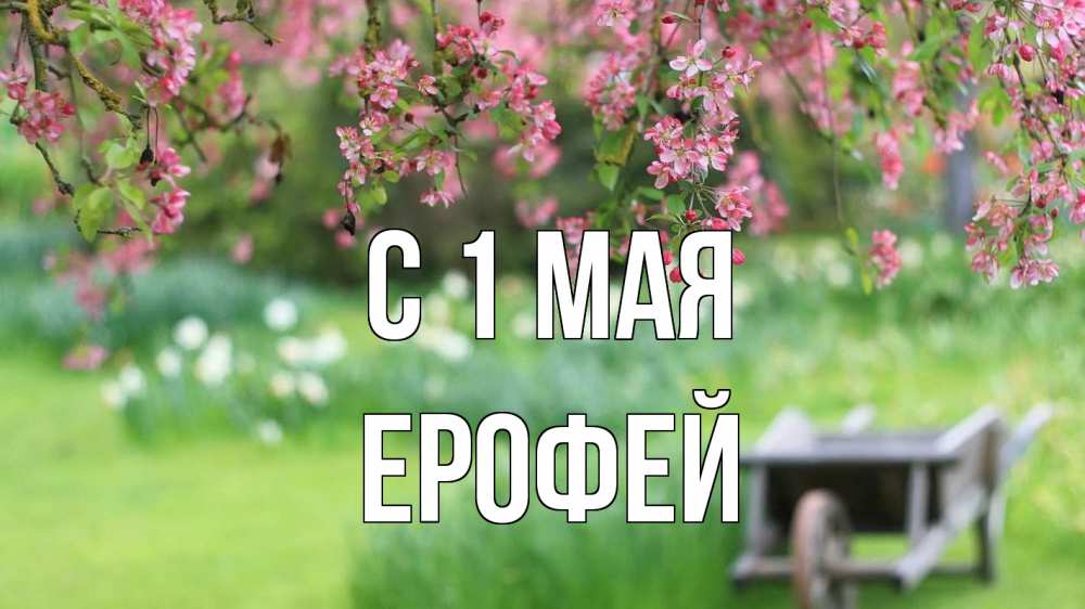 Открытка на каждый день с именем, Ерофей С 1 мая С 1 мая Прикольная открытка с пожеланием онлайн скачать бесплатно 