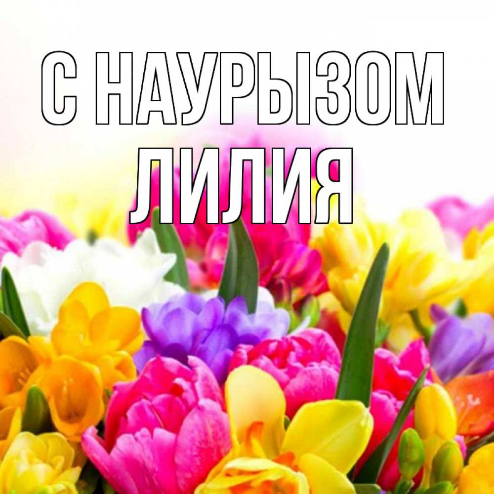 Открытка на каждый день с именем, Лилия С наурызом тюльпаны Прикольная открытка с пожеланием онлайн скачать бесплатно 