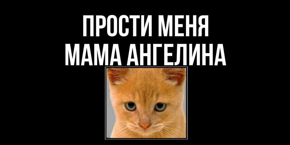 Открытка на каждый день с именем, Мама-Ангелина Прости меня рыжий грустный кот просит прощения Прикольная открытка с пожеланием онлайн скачать бесплатно 