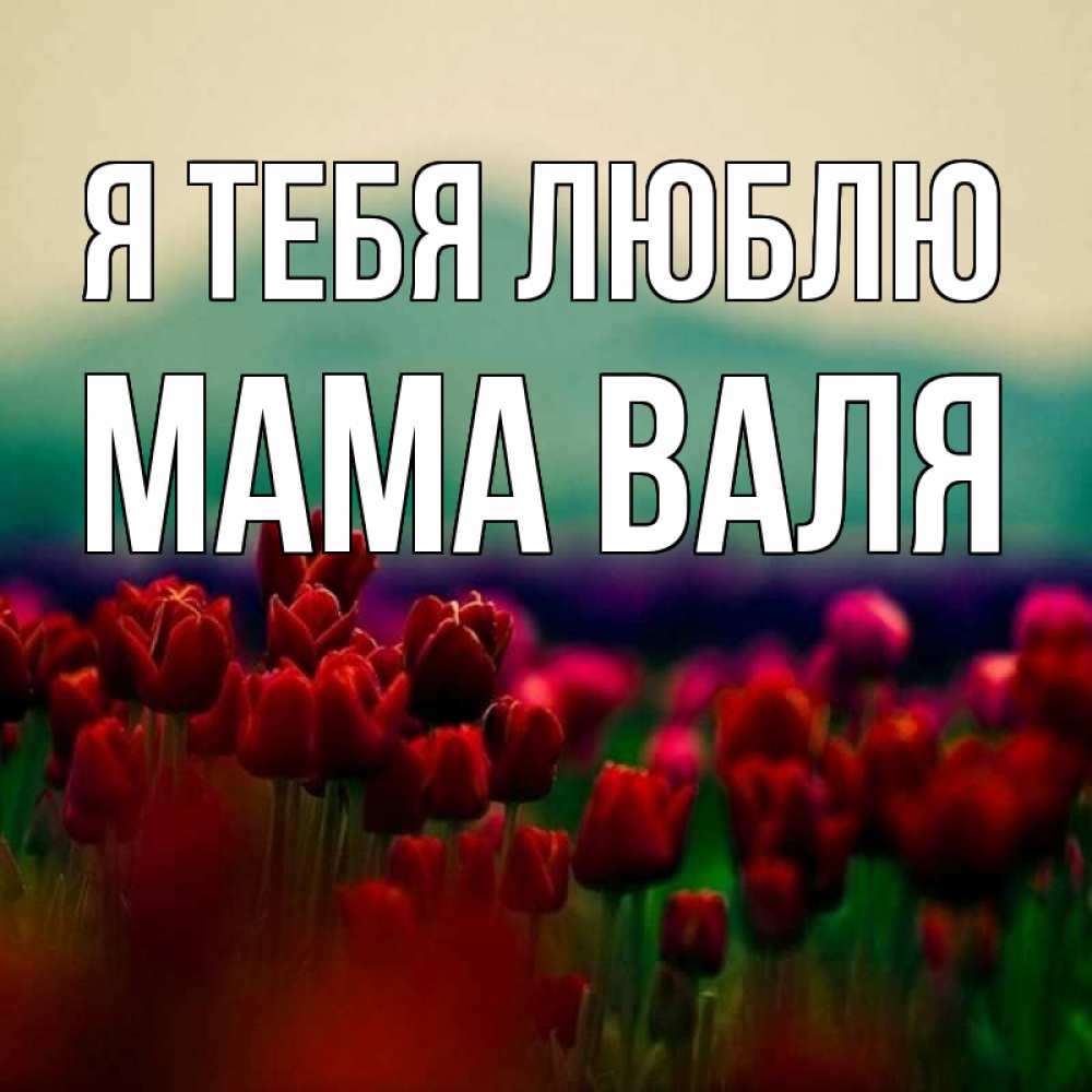 Открытка на каждый день с именем, Мама-Валя Я тебя люблю тюльпаны 4 Прикольная открытка с пожеланием онлайн скачать бесплатно 