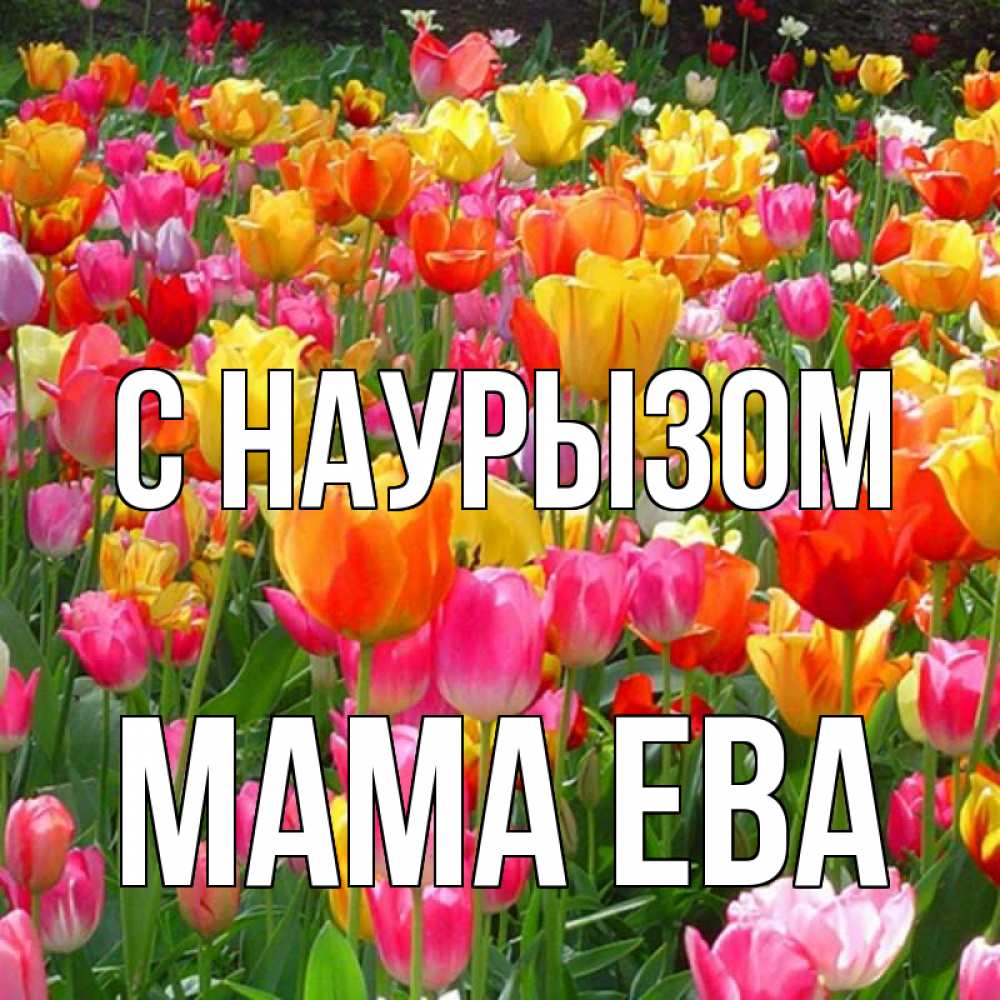 Открытка на каждый день с именем, Мама-Ева С наурызом праздник весны наурыз 4 Прикольная открытка с пожеланием онлайн скачать бесплатно 