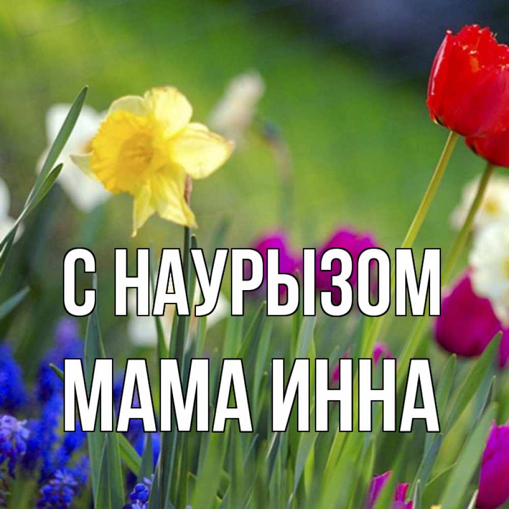 Открытка на каждый день с именем, Мама-Инна С наурызом праздник весны наурыз 3 Прикольная открытка с пожеланием онлайн скачать бесплатно 