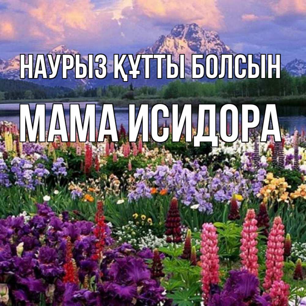 Открытка на каждый день с именем, Мама-Исидора Наурыз құтты болсын наурыз Прикольная открытка с пожеланием онлайн скачать бесплатно 