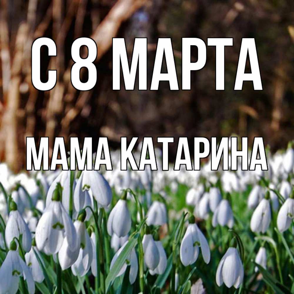 Открытка на каждый день с именем, Мама-Катарина С 8 МАРТА с подснежниками 1 Прикольная открытка с пожеланием онлайн скачать бесплатно 