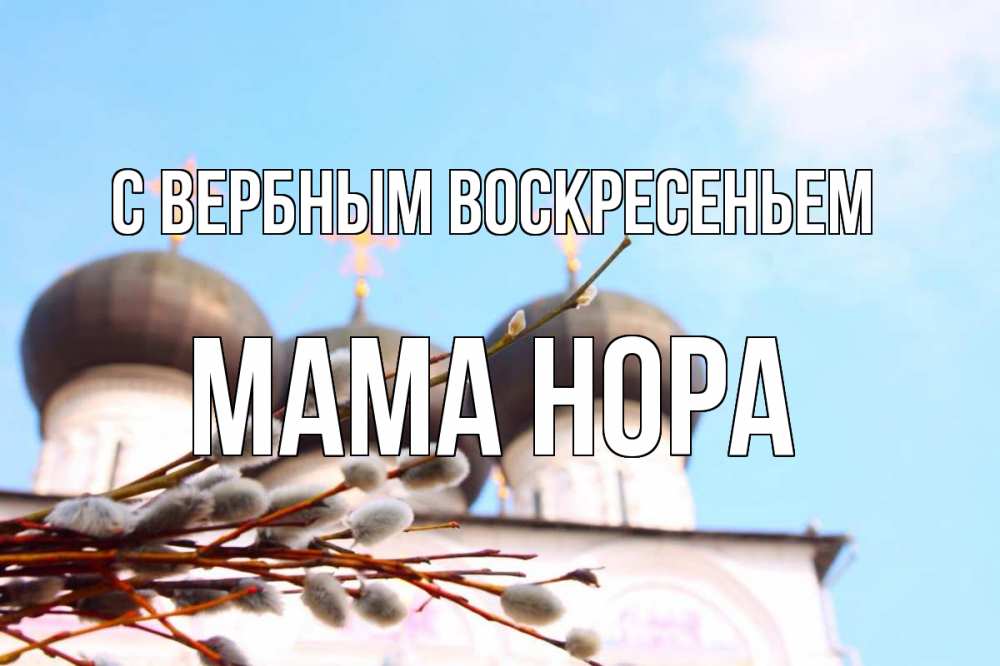 Открытка на каждый день с именем, Мама-Нора С вербным воскресеньем верба Прикольная открытка с пожеланием онлайн скачать бесплатно 