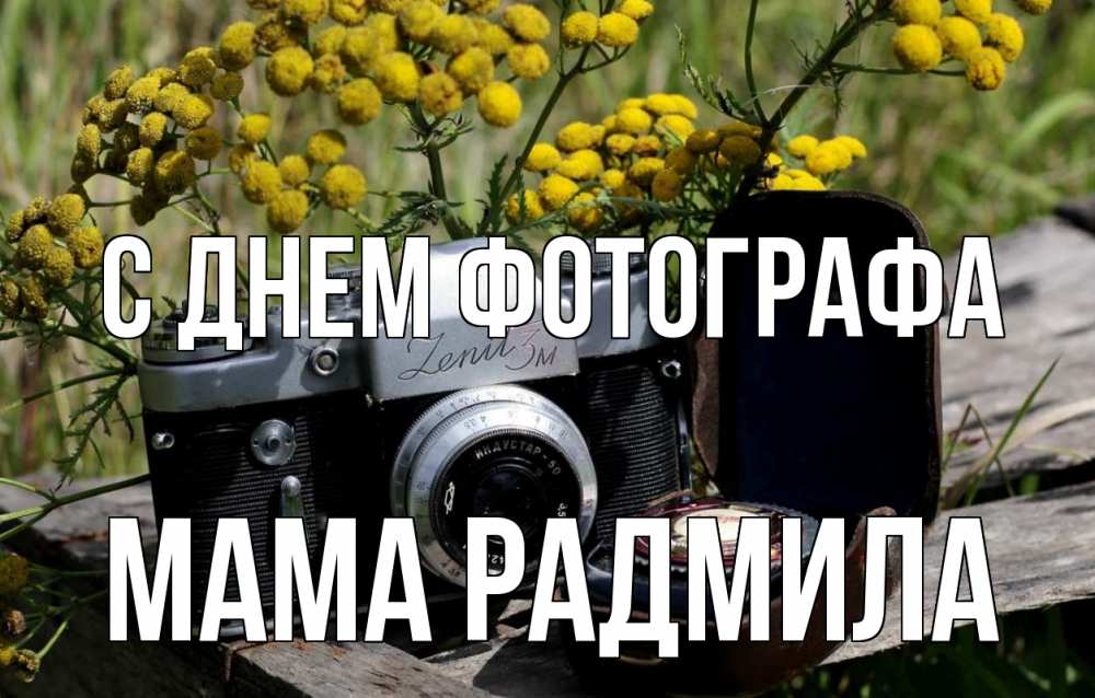 Открытка на каждый день с именем, Мама-Радмила С днем фотографа с днем фотографа Прикольная открытка с пожеланием онлайн скачать бесплатно 
