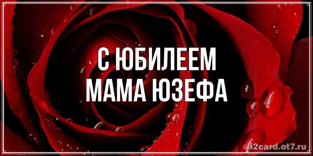 Открытка на каждый день с именем, Мама-Юзефа С юбилеем крупная бордовая роза Прикольная открытка с пожеланием онлайн скачать бесплатно 