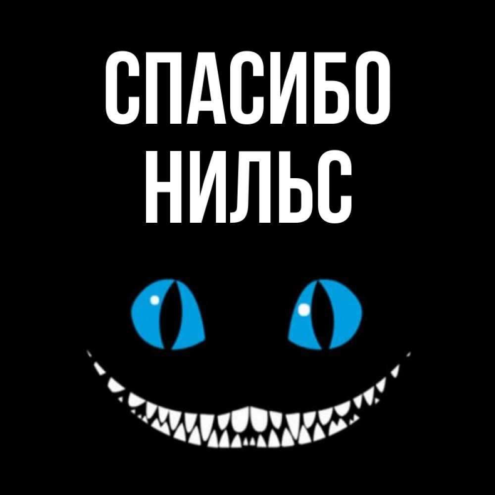 Открытка на каждый день с именем, Нильс Спасибо благодарю от чеширика Прикольная открытка с пожеланием онлайн скачать бесплатно 