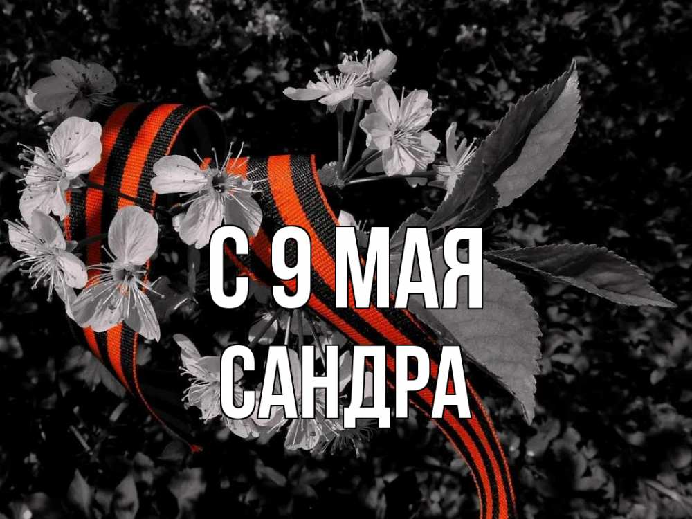 Открытка на каждый день с именем, Сандра С 9 мая 9 мая Прикольная открытка с пожеланием онлайн скачать бесплатно 