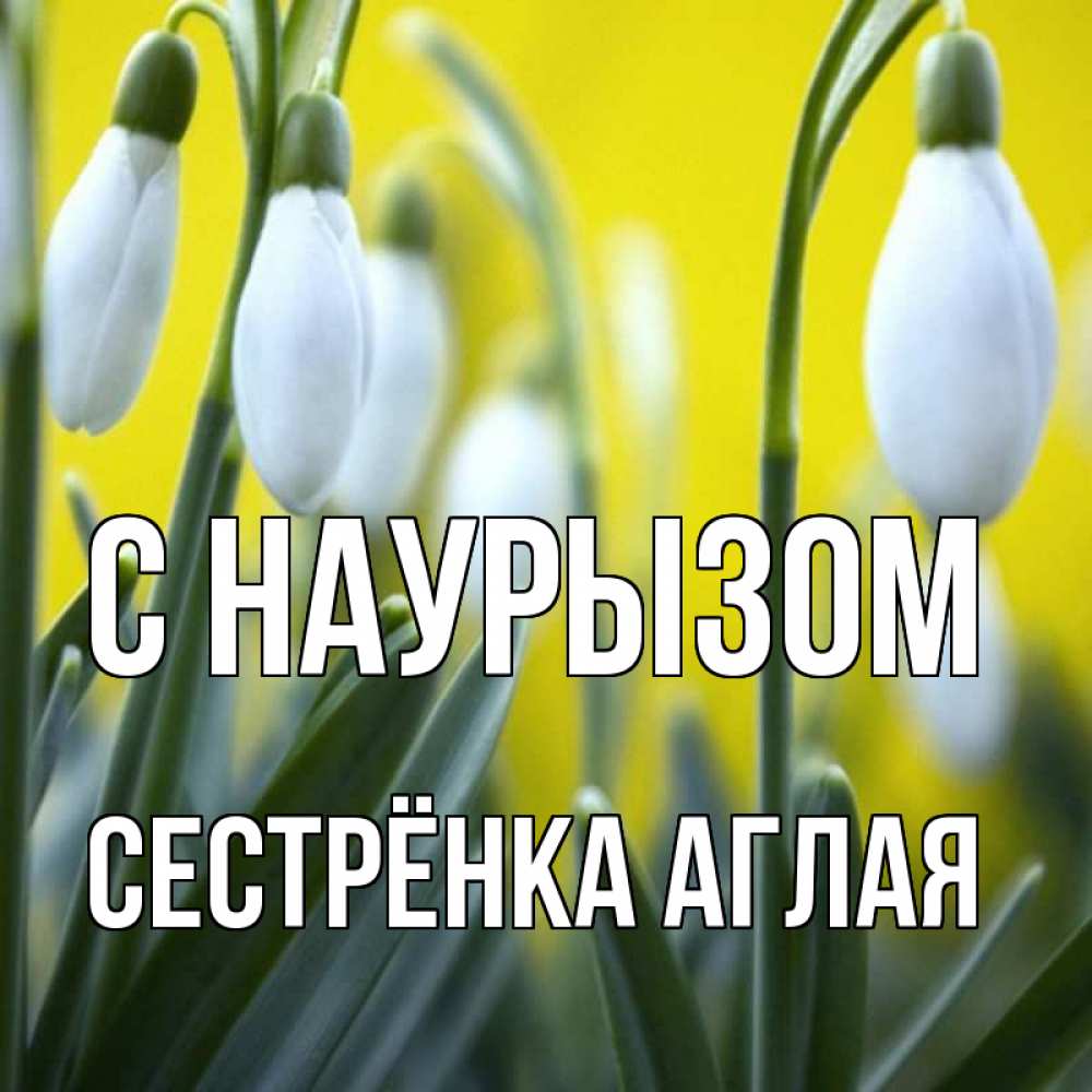 Открытка на каждый день с именем, Сестрёнка-Аглая С наурызом весенние цветы Прикольная открытка с пожеланием онлайн скачать бесплатно 