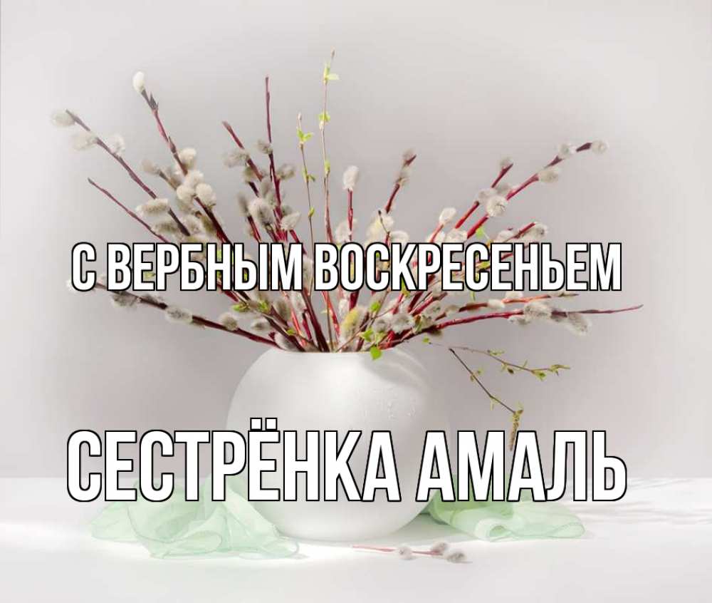 Открытка на каждый день с именем, Сестрёнка-Амаль С вербным воскресеньем верба Прикольная открытка с пожеланием онлайн скачать бесплатно 