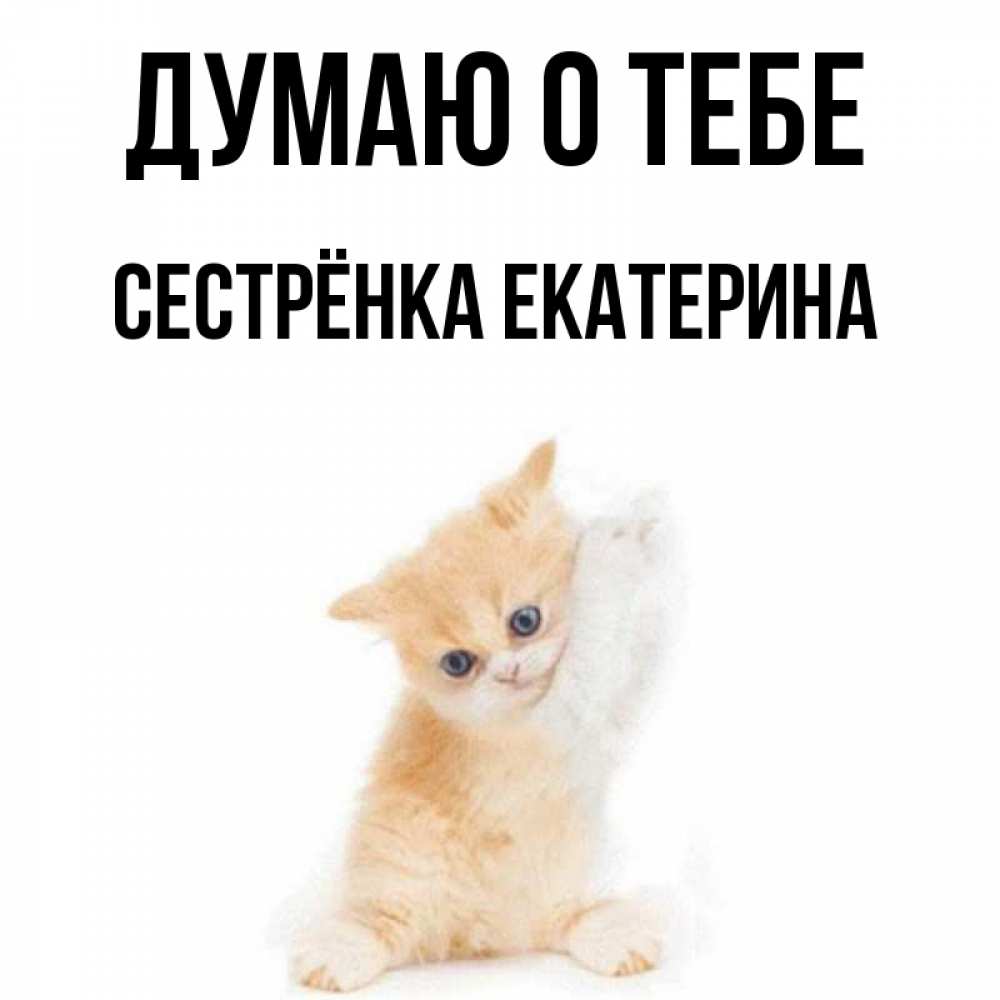 Открытка на каждый день с именем, Сестрёнка-Екатерина Думаю о тебе зверушки и милота Прикольная открытка с пожеланием онлайн скачать бесплатно 
