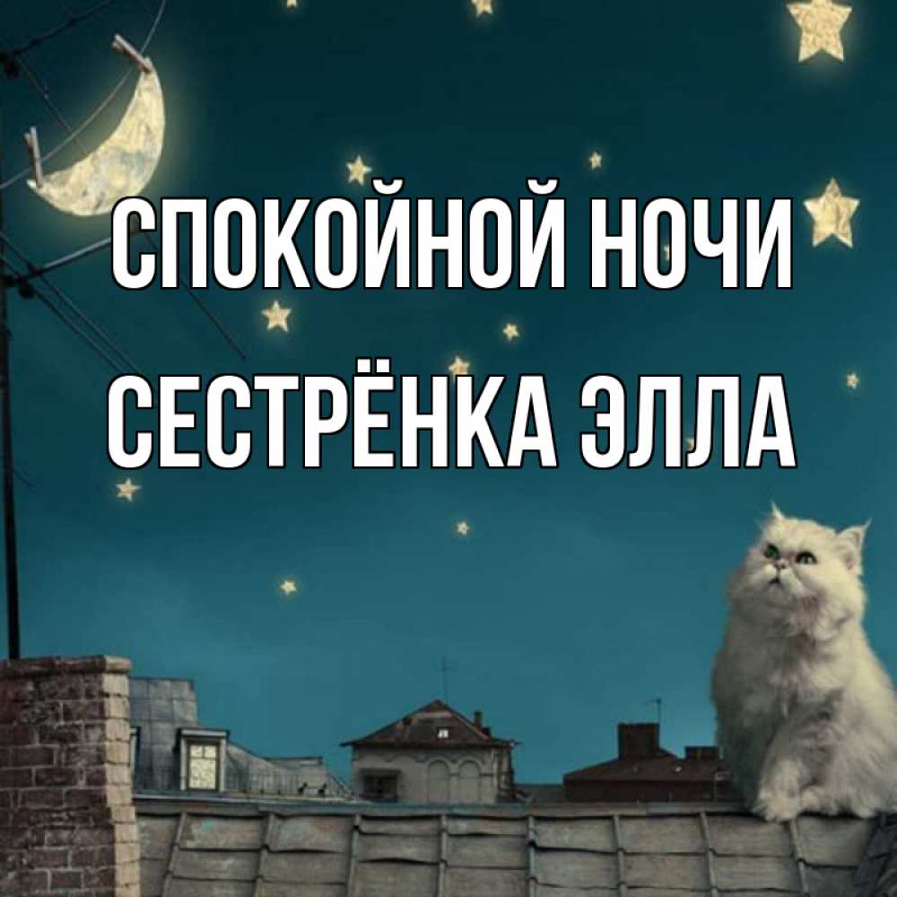 Открытка на каждый день с именем, Сестрёнка-Элла Спокойной ночи белый кот сидит на крыше Прикольная открытка с пожеланием онлайн скачать бесплатно 