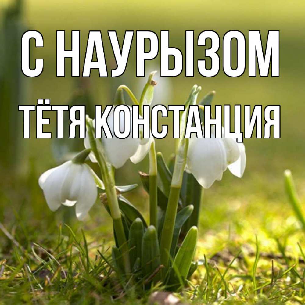 Открытка на каждый день с именем, Тётя-Констанция С наурызом ранние цветы 2 Прикольная открытка с пожеланием онлайн скачать бесплатно 