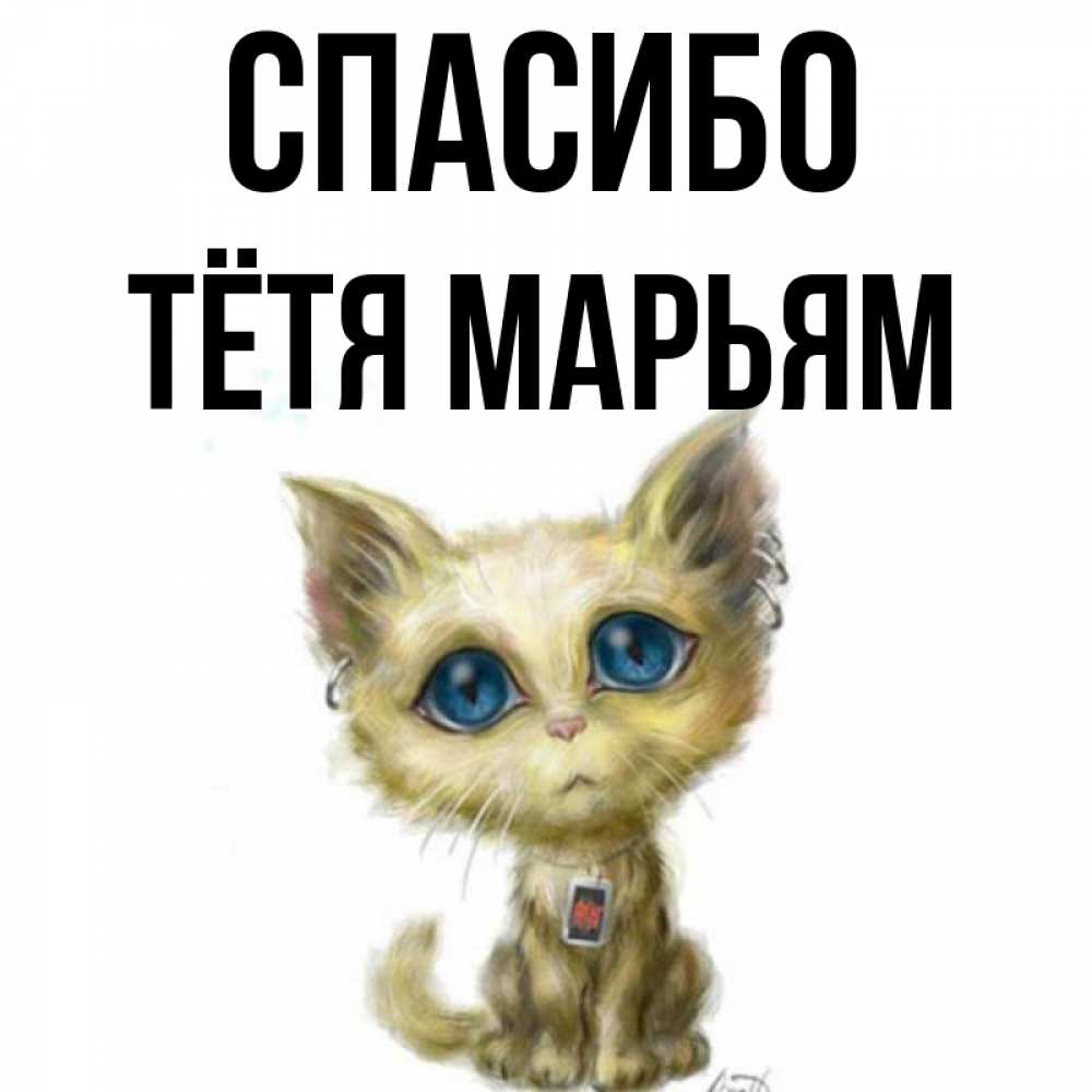 Открытка на каждый день с именем, Тётя-Марьям Спасибо рисованный кот благодарит вас Прикольная открытка с пожеланием онлайн скачать бесплатно 