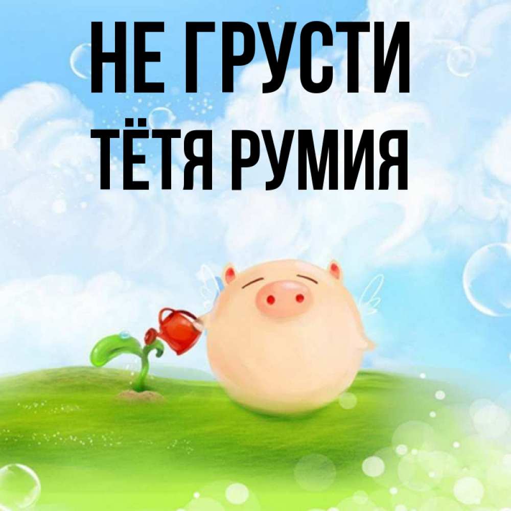 Открытка на каждый день с именем, Тётя-Румия Не грусти поливает цветок порося Прикольная открытка с пожеланием онлайн скачать бесплатно 