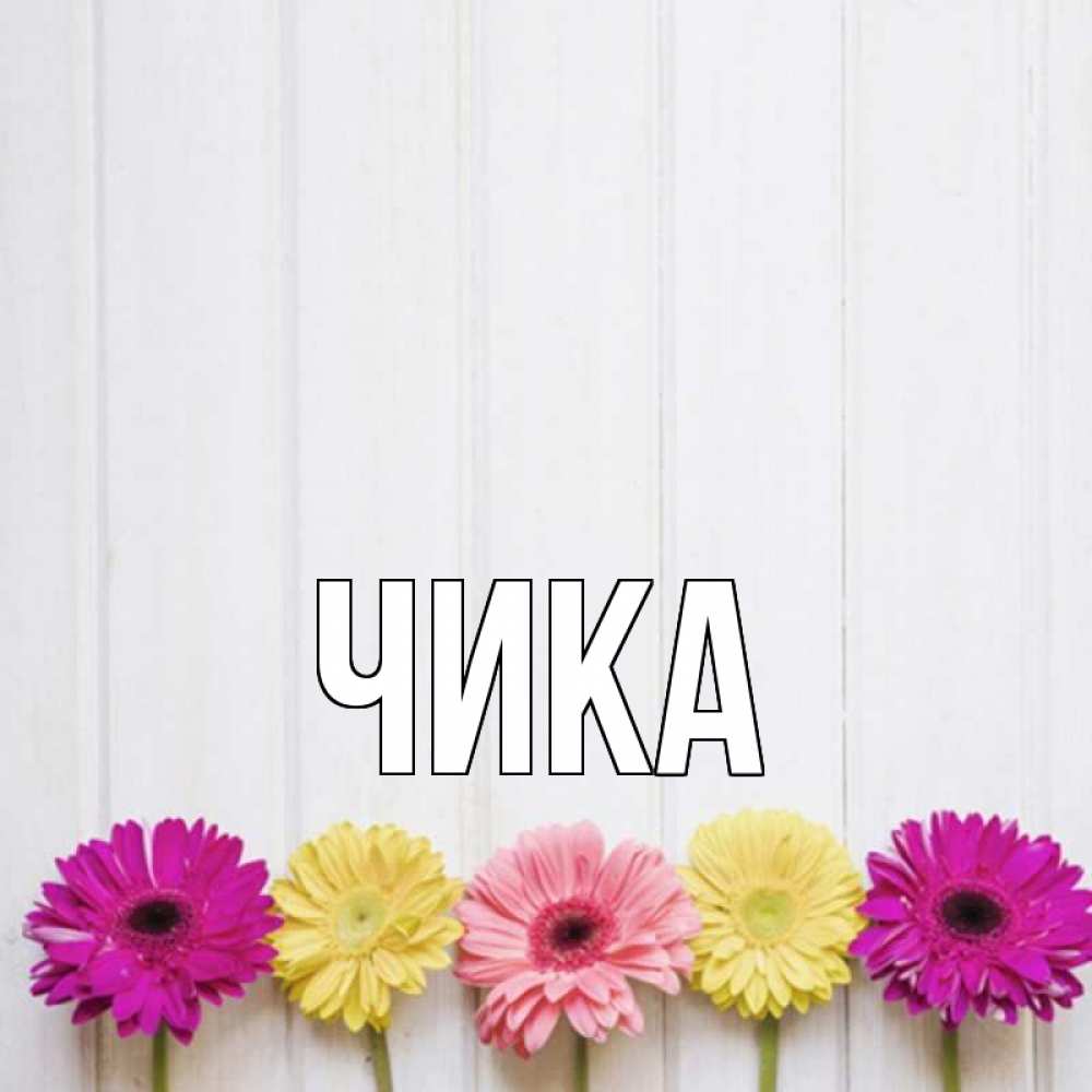 Открытка на каждый день с именем, Чика Главная женщинам 1 Прикольная открытка с пожеланием онлайн скачать бесплатно 