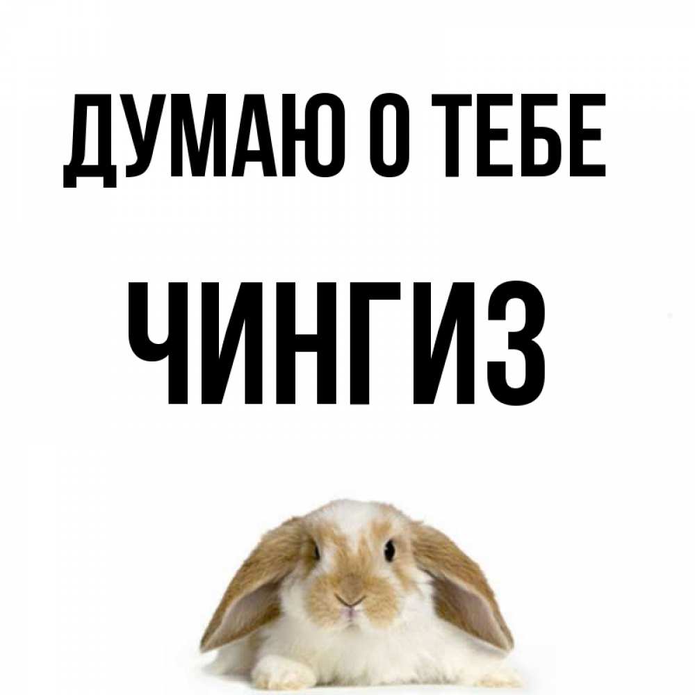 Открытка на каждый день с именем, Чингиз Думаю о тебе подписать своими руками онлайн Прикольная открытка с пожеланием онлайн скачать бесплатно 