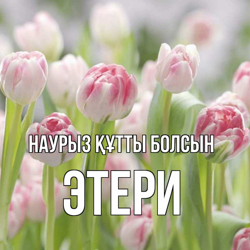 Открытка на каждый день с именем, Этери Наурыз құтты болсын цветы Прикольная открытка с пожеланием онлайн скачать бесплатно 