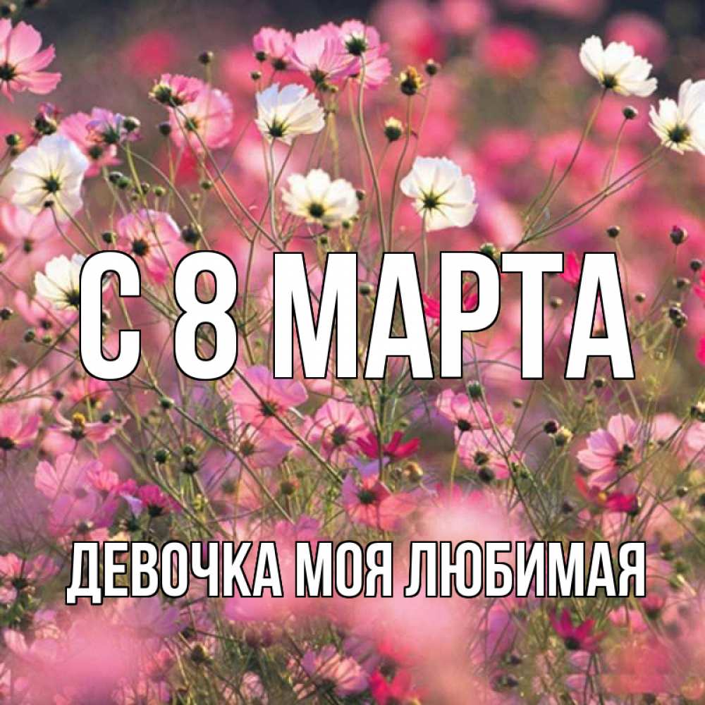 Открытка на каждый день с именем, Девочка-моя-любимая С 8 МАРТА красиво 1 Прикольная открытка с пожеланием онлайн скачать бесплатно 