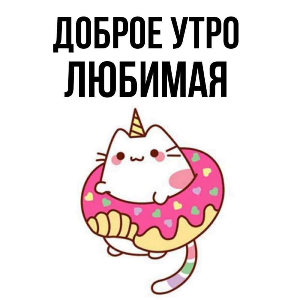 Открытка на каждый день с именем, Любимая Доброе утро кот в бублике Прикольная открытка с пожеланием онлайн скачать бесплатно 