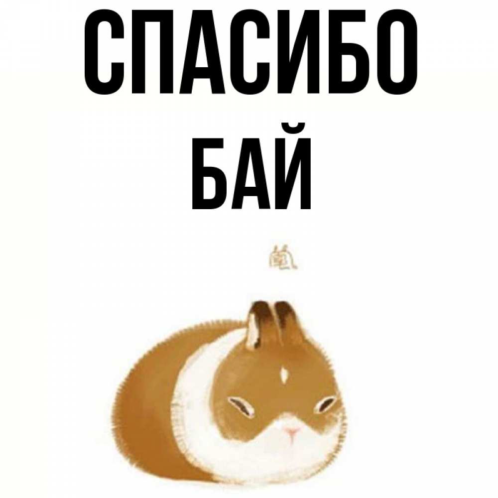 Название бай