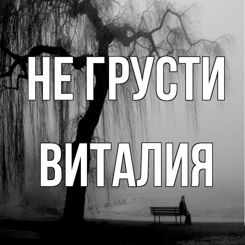 Открытка на каждый день с именем, Виталия Не грусти висящие ветки дерева и лавочка под деревом Прикольная открытка с пожеланием онлайн скачать бесплатно 