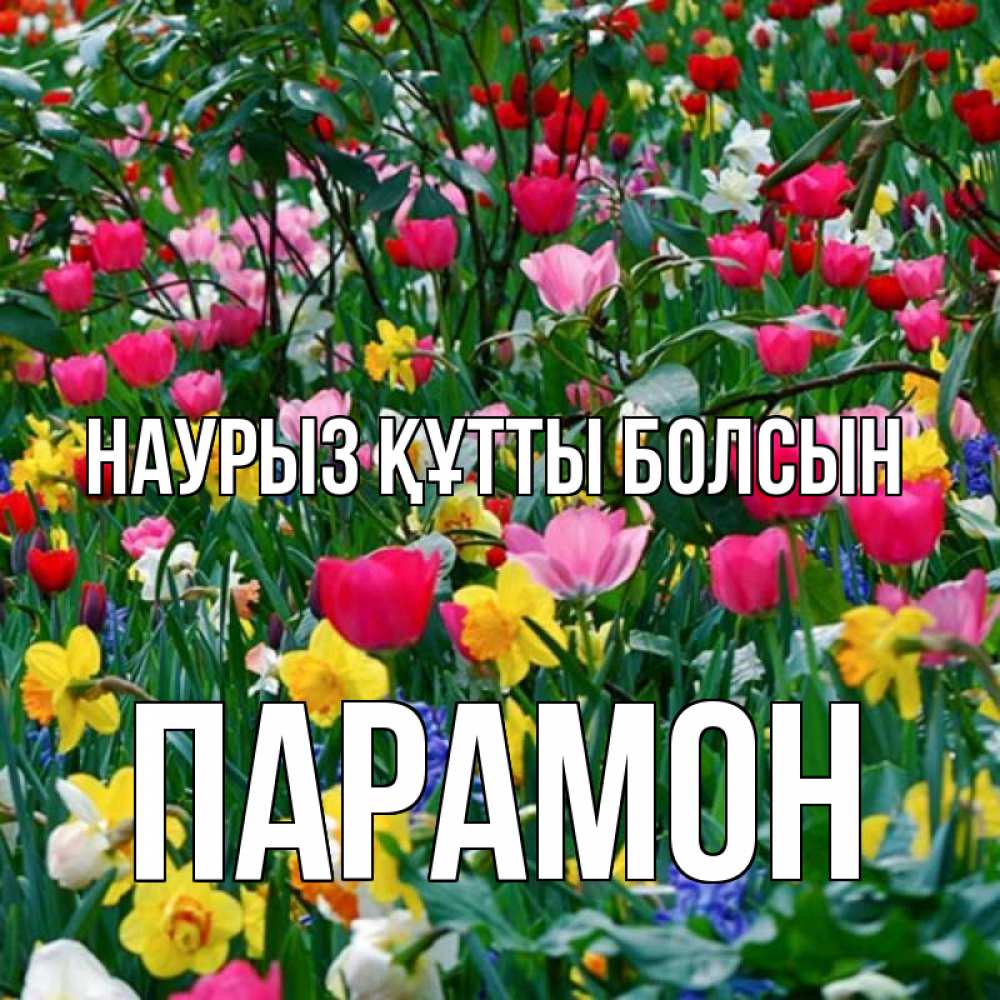 Открытка на каждый день с именем, Парамон Наурыз құтты болсын с наурызом поздравления для женщины Прикольная открытка с пожеланием онлайн скачать бесплатно 