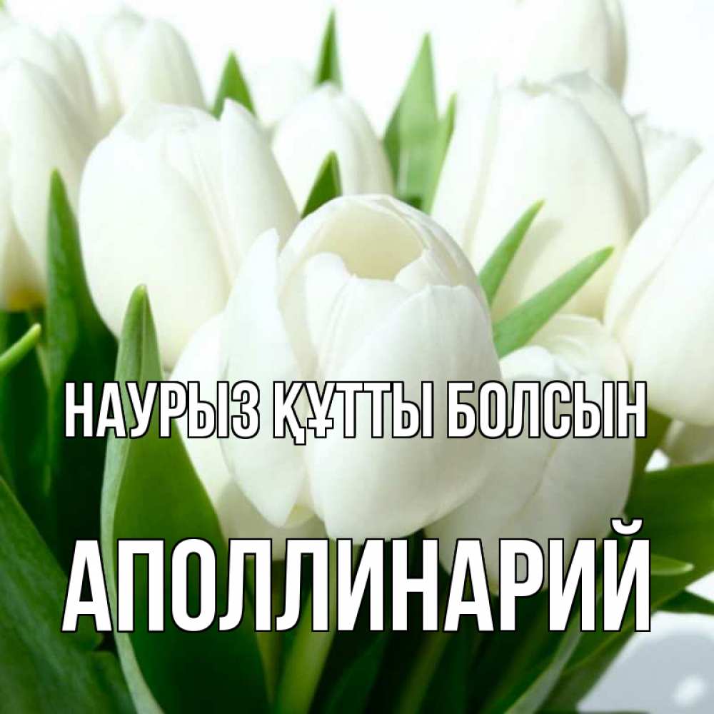 Открытка на каждый день с именем, Аполлинарий Наурыз құтты болсын цветы Прикольная открытка с пожеланием онлайн скачать бесплатно 