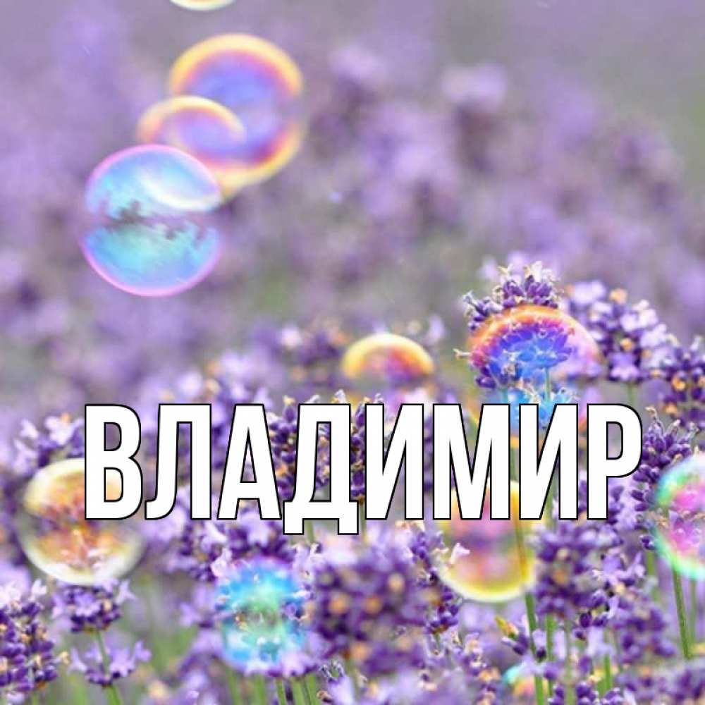 Открытка на каждый день с именем, Владимир Главная цветы Прикольная открытка с пожеланием онлайн скачать бесплатно 