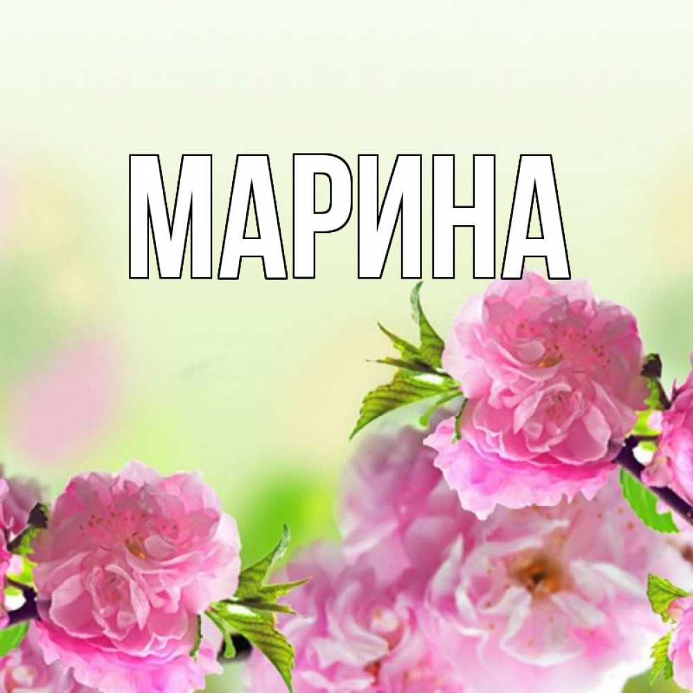 Открытка на каждый день с именем, Марина Главная цветы Прикольная открытка с пожеланием онлайн скачать бесплатно 