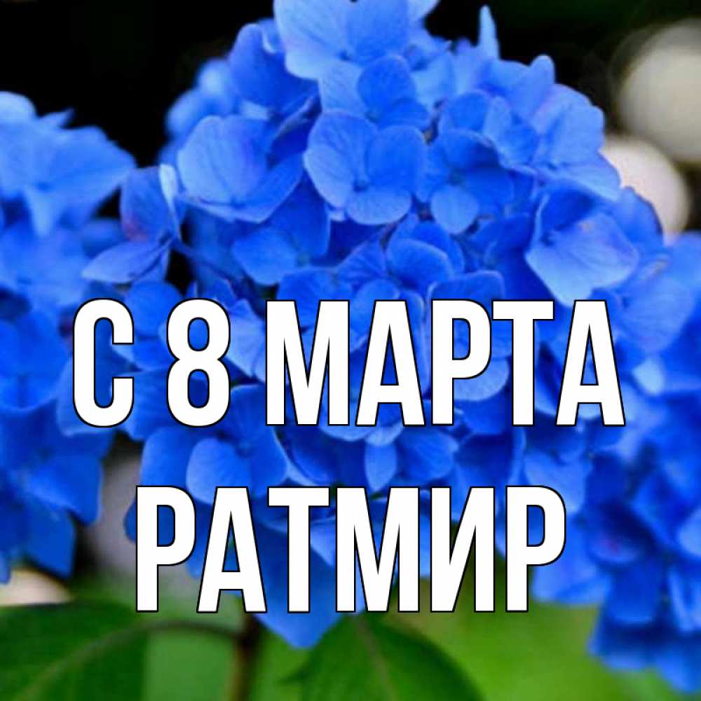 Открытка на каждый день с именем, Ратмир С 8 МАРТА синие цветы Прикольная открытка с пожеланием онлайн скачать бесплатно 