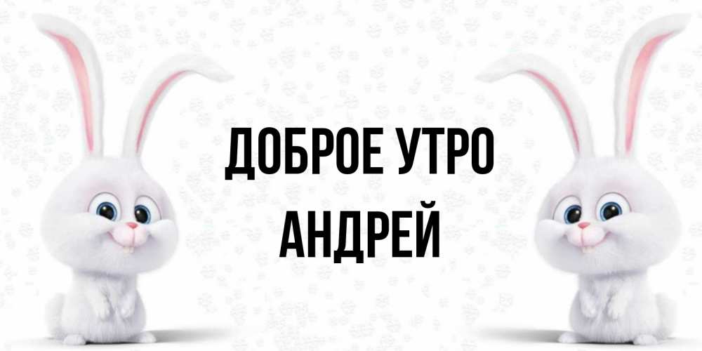 Открытка на каждый день с именем, Андрей Доброе утро кролики с длинными ушками Прикольная открытка с пожеланием онлайн скачать бесплатно 