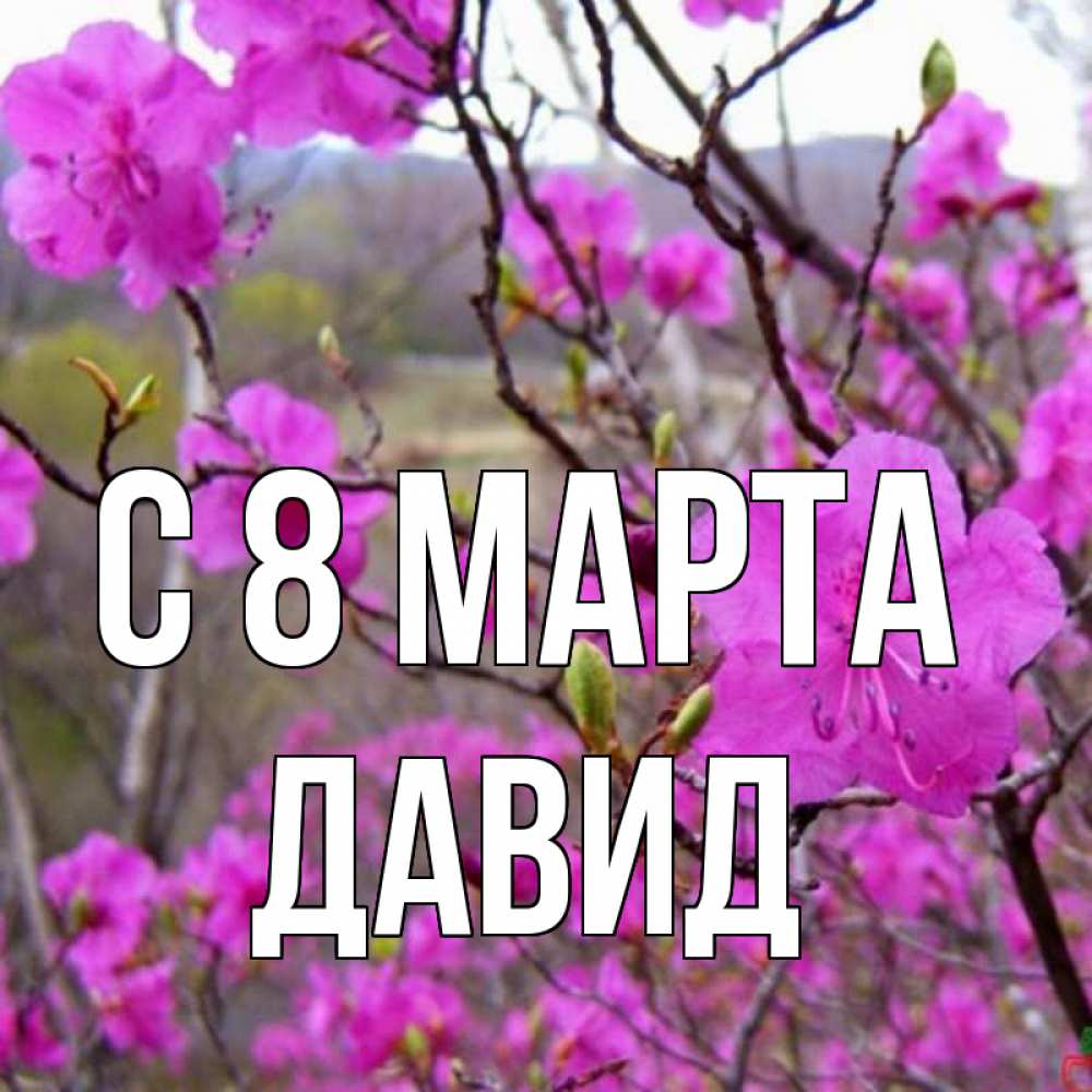 Открытка на каждый день с именем, Давид С 8 МАРТА международный женский день Прикольная открытка с пожеланием онлайн скачать бесплатно 