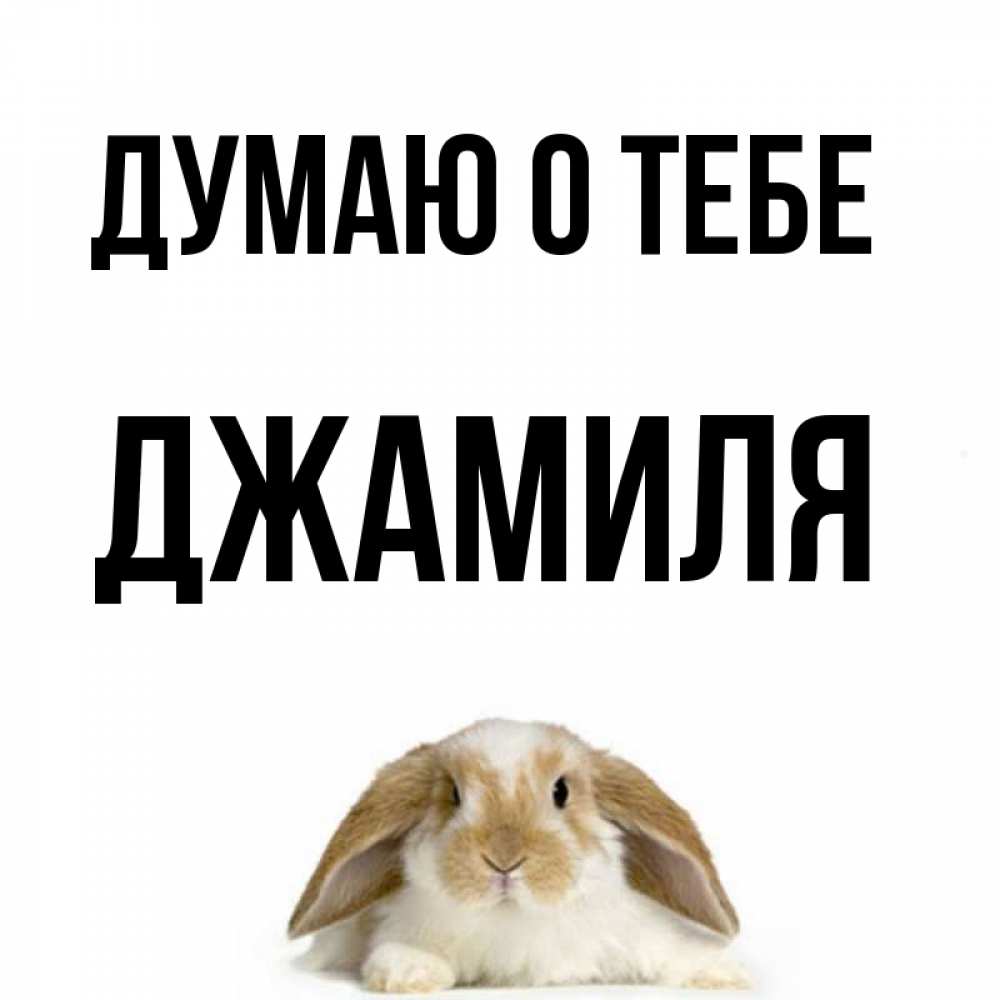 Открытка на каждый день с именем, Джамиля Думаю о тебе подписать своими руками онлайн Прикольная открытка с пожеланием онлайн скачать бесплатно 