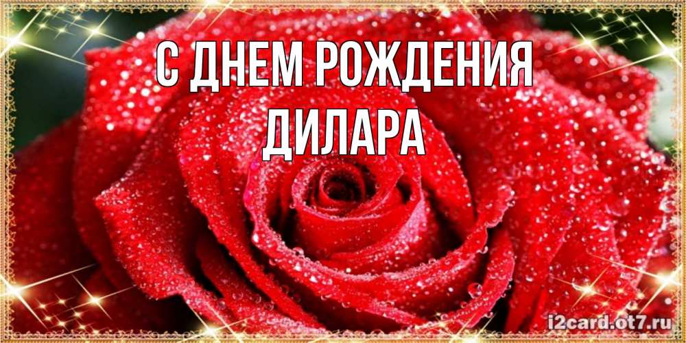 Открытка на каждый день с именем, Дилара С днем рождения роса и роза. открытка с красивой розой Прикольная открытка с пожеланием онлайн скачать бесплатно 