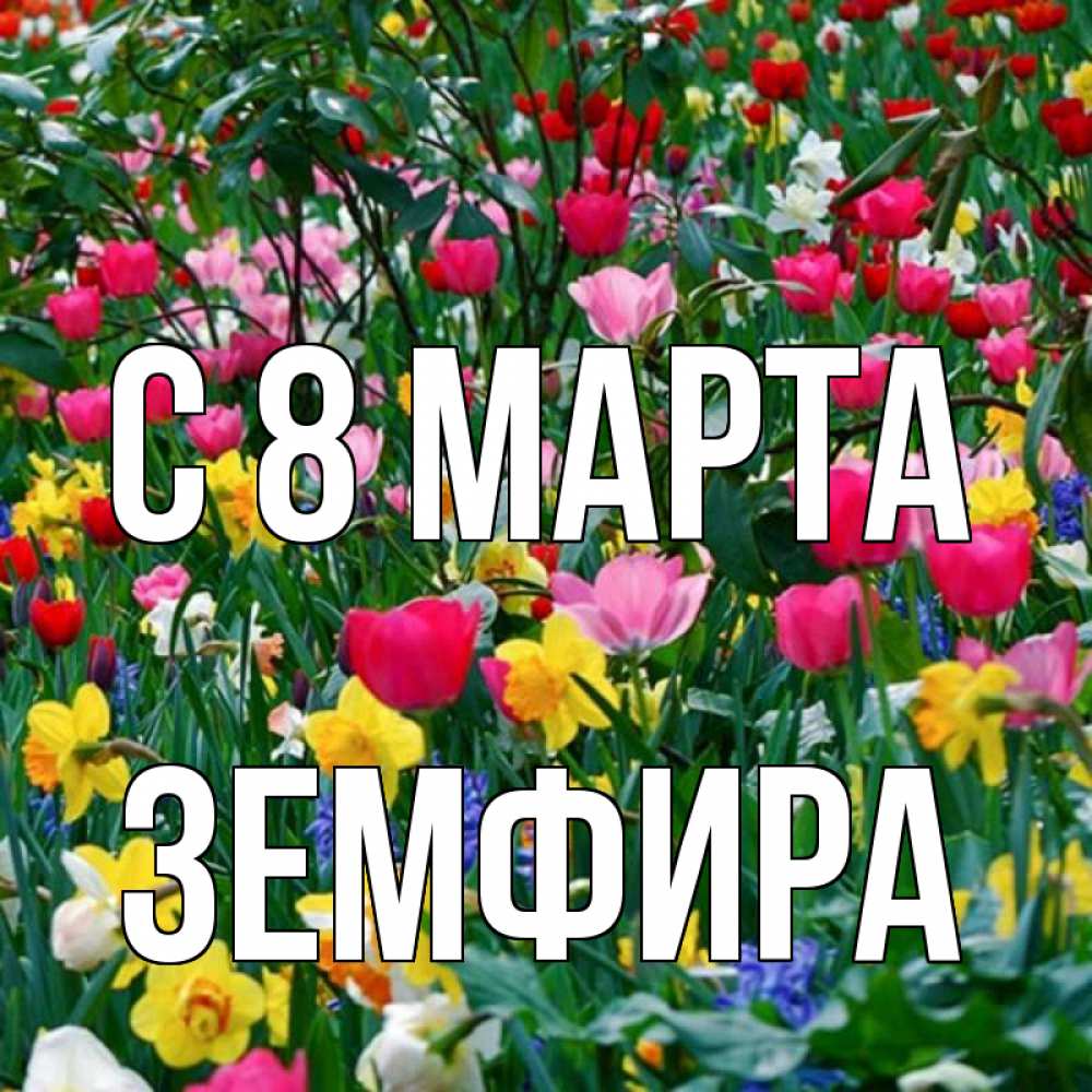 Открытка на каждый день с именем, Земфира С 8 МАРТА с международным женским днем поздравления для женщины Прикольная открытка с пожеланием онлайн скачать бесплатно 