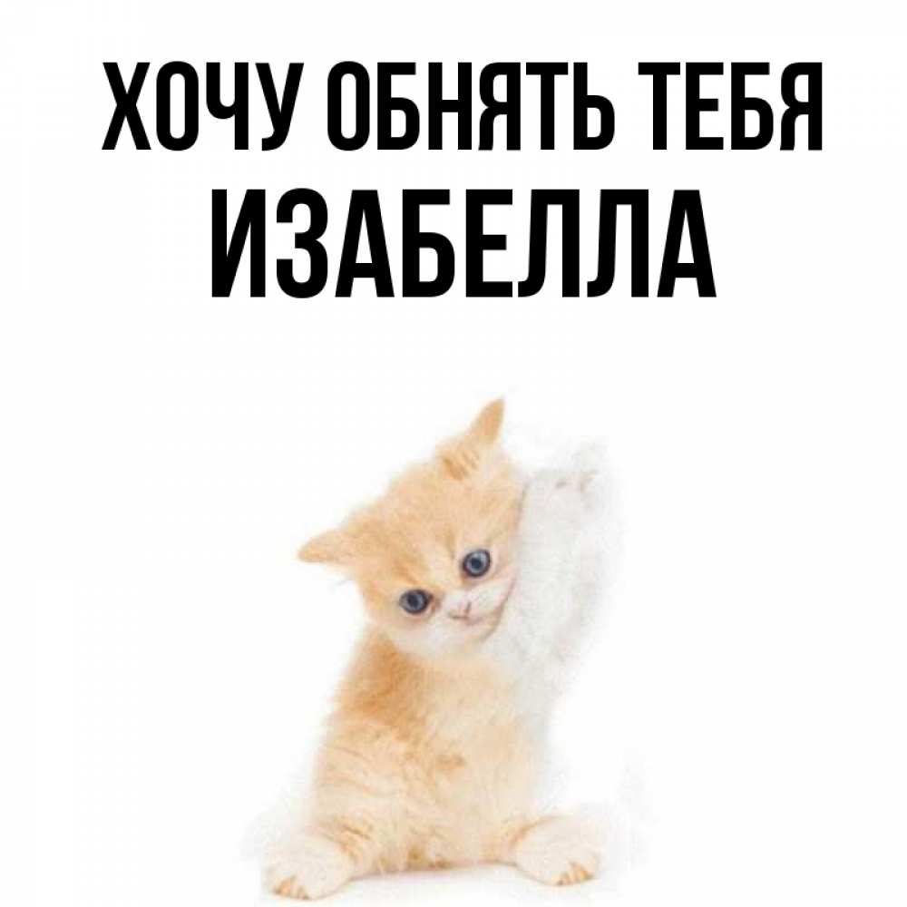 Открытка на каждый день с именем, Изабелла Хочу обнять тебя я хочу очень скорее обнимаешек Прикольная открытка с пожеланием онлайн скачать бесплатно 