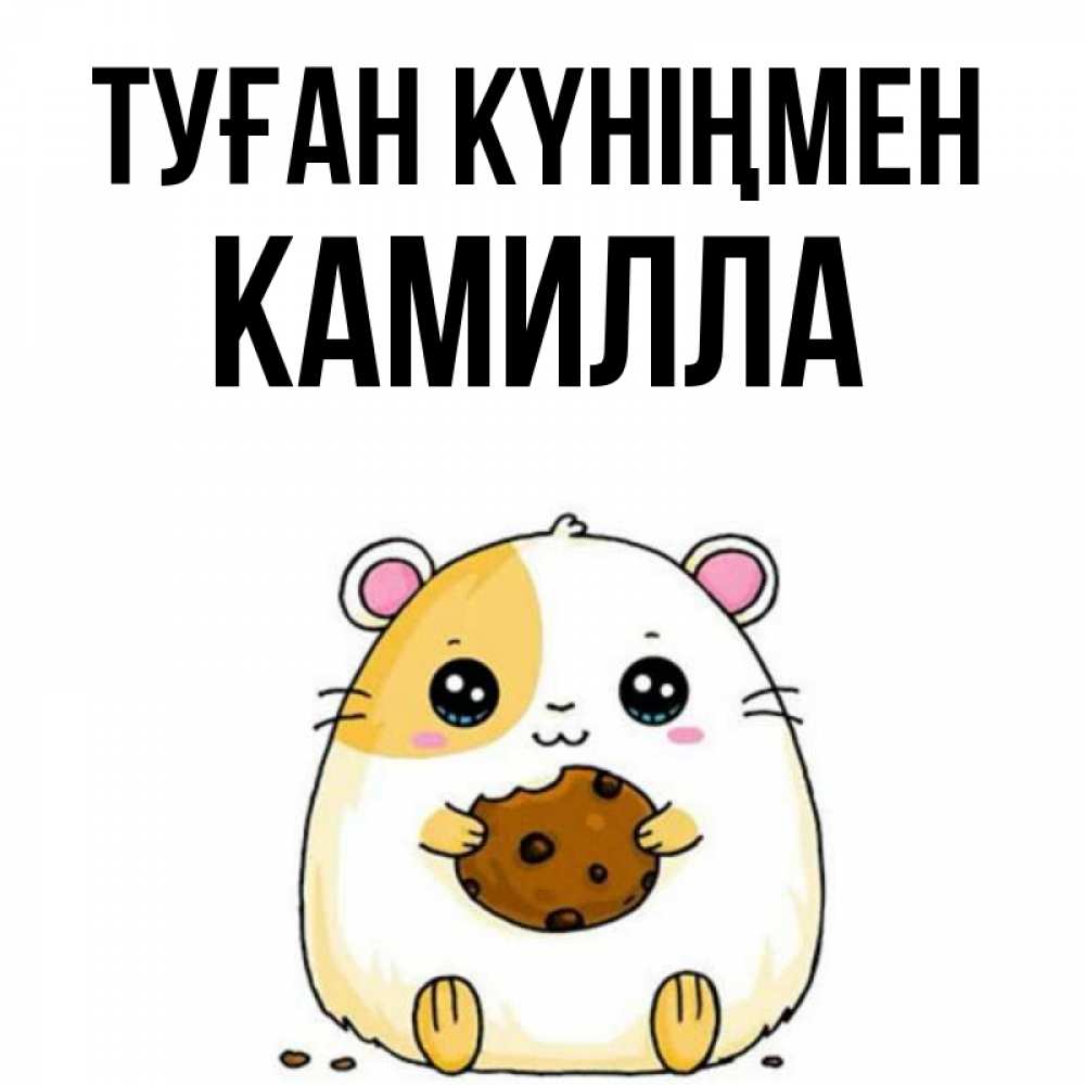 Открытка на каждый день с именем, Камилла Туған күніңмен с днюхой Прикольная открытка с пожеланием онлайн скачать бесплатно 