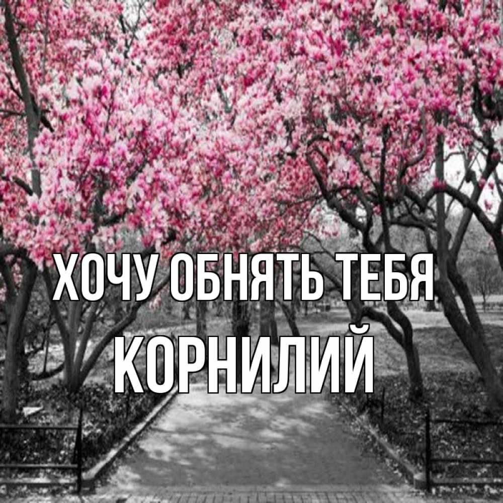 Открытка на каждый день с именем, Корнилий Хочу обнять тебя обработанное фото Прикольная открытка с пожеланием онлайн скачать бесплатно 