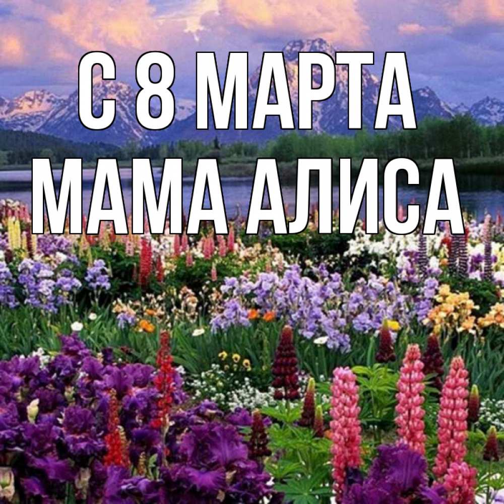 Открытка на каждый день с именем, Мама-Алиса С 8 МАРТА международный женский день Прикольная открытка с пожеланием онлайн скачать бесплатно 