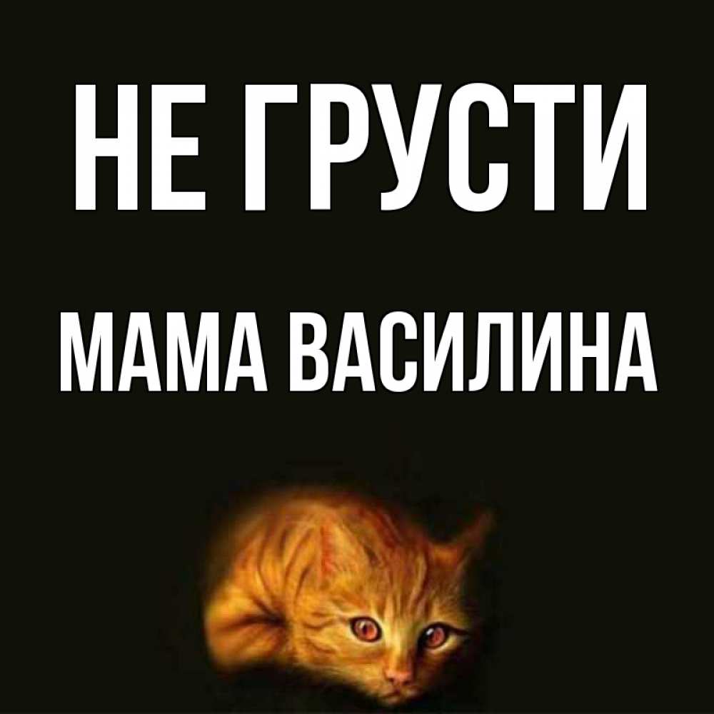 Открытка на каждый день с именем, Мама-Василина Не грусти лежащий кот в темноте Прикольная открытка с пожеланием онлайн скачать бесплатно 