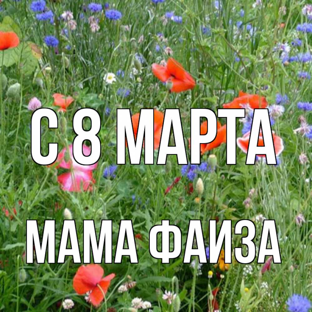 Открытка на каждый день с именем, Мама-Фаиза С 8 МАРТА международный женский день 4 Прикольная открытка с пожеланием онлайн скачать бесплатно 